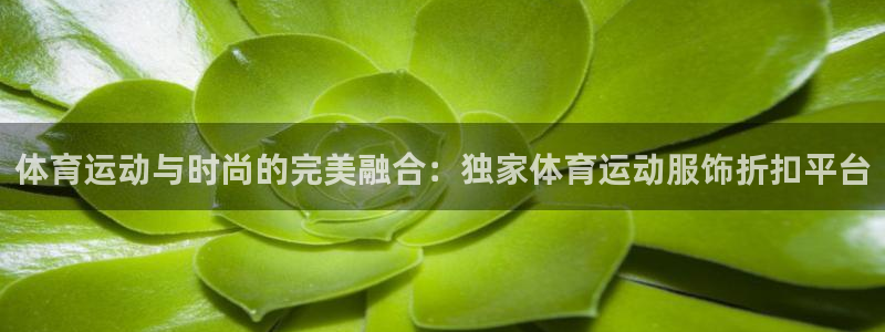 体育运动与时尚的完美融合：独家体育运动服饰折扣平台