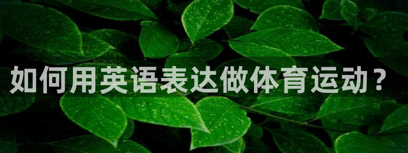 如何用英语表达做体育运动？