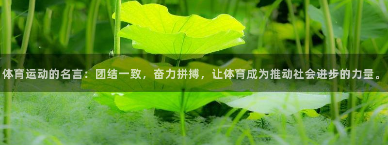 体育运动的名言：团结一致，奋力拼搏，让体育成为推动社会进步的力量。
