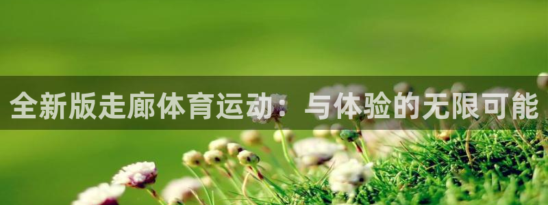 全新版走廊体育运动：与体验的无限可能