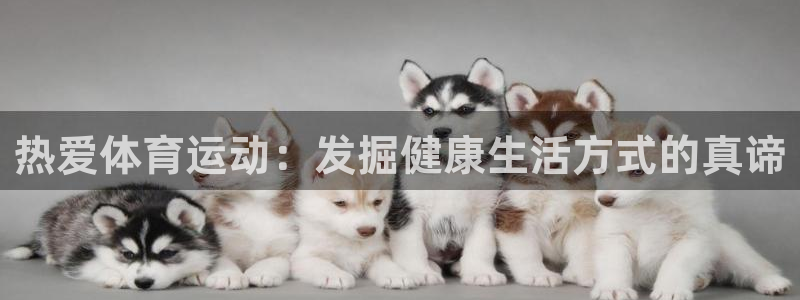 热爱体育运动：发掘健康生活方式的真谛